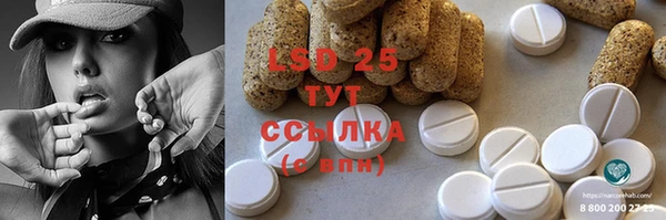 гашик Инсар