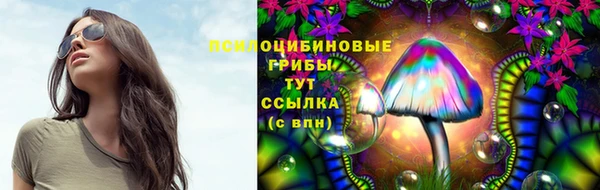 спиды Иннополис