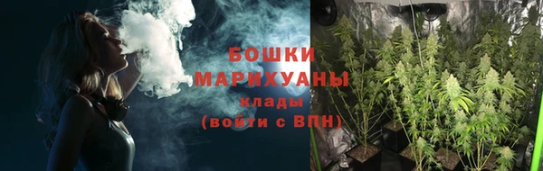 прущая мука Инта