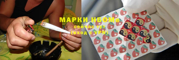 прущая мука Инта