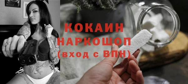 гашик Инсар