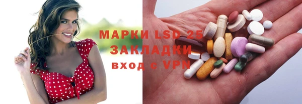 гашик Инсар