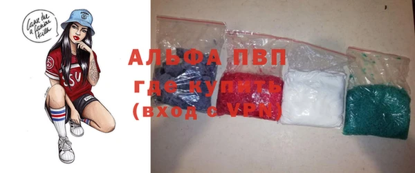 гашик Инсар