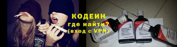 спиды Иннополис