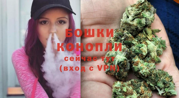гашик Инсар
