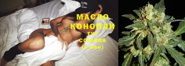 гашик Инсар