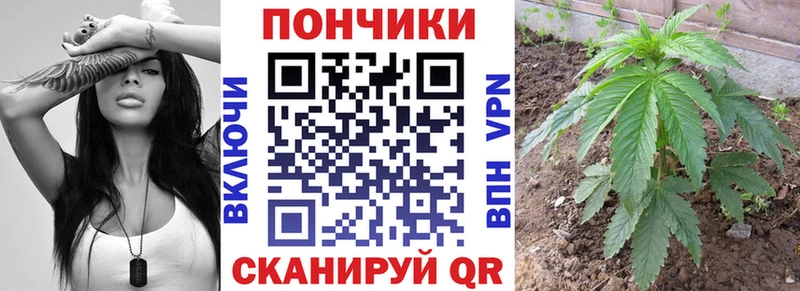 Шишки марихуана Bruce Banner Купить где Клин